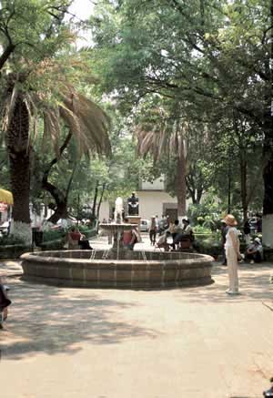 JARDÍN DE LAS ROSAS