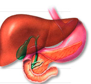 USC Liver Transplant Program