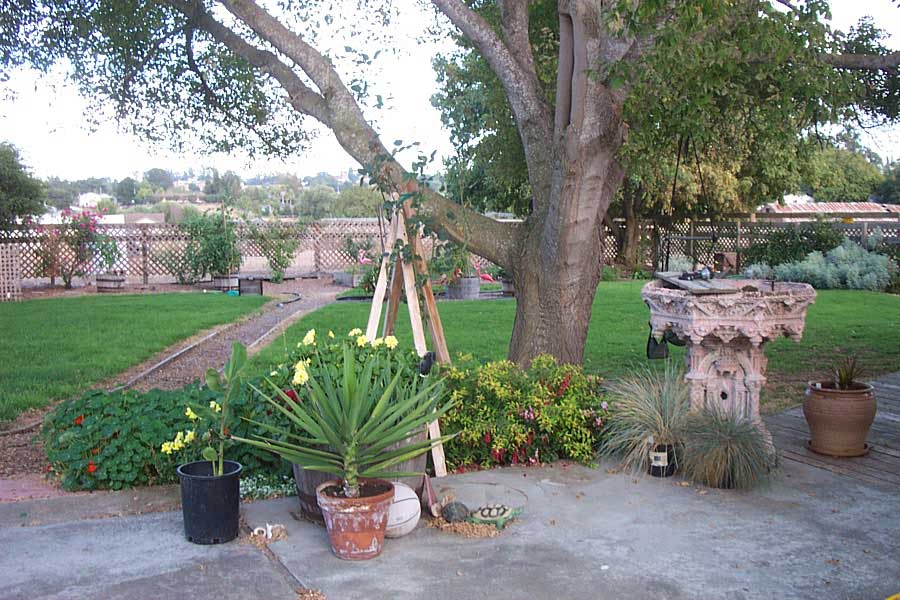 patio